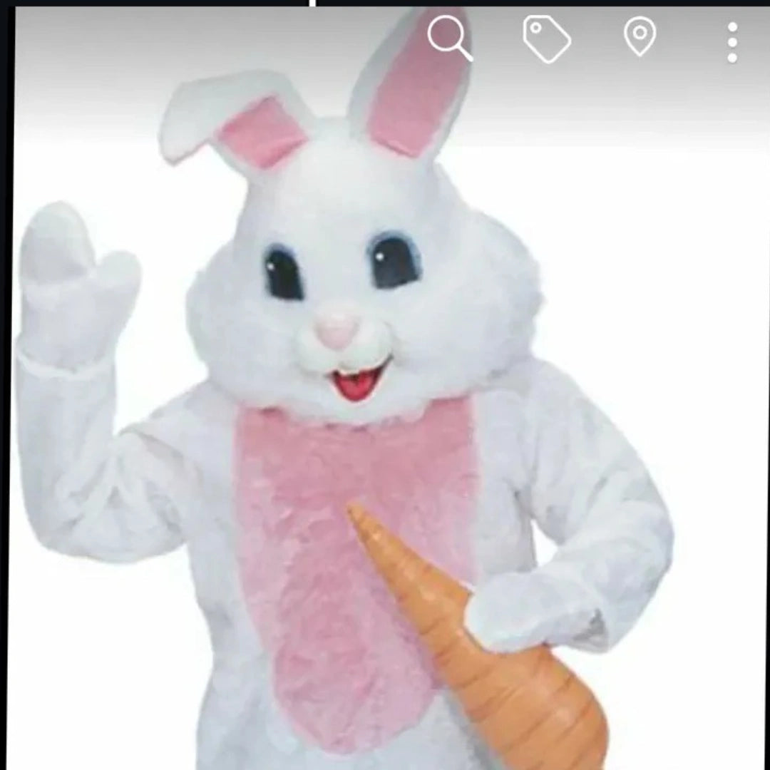Easter Bunny Costume Rentals . Many to choose from.