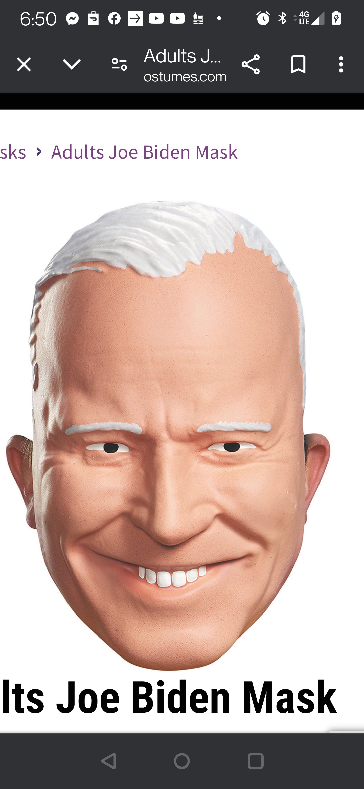 Adults Joe Biden Mask