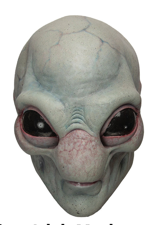 Visitor Adult Mask