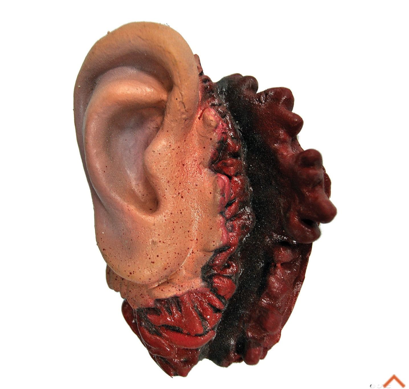 Realistic Cut-Off Ear Prop Decoration