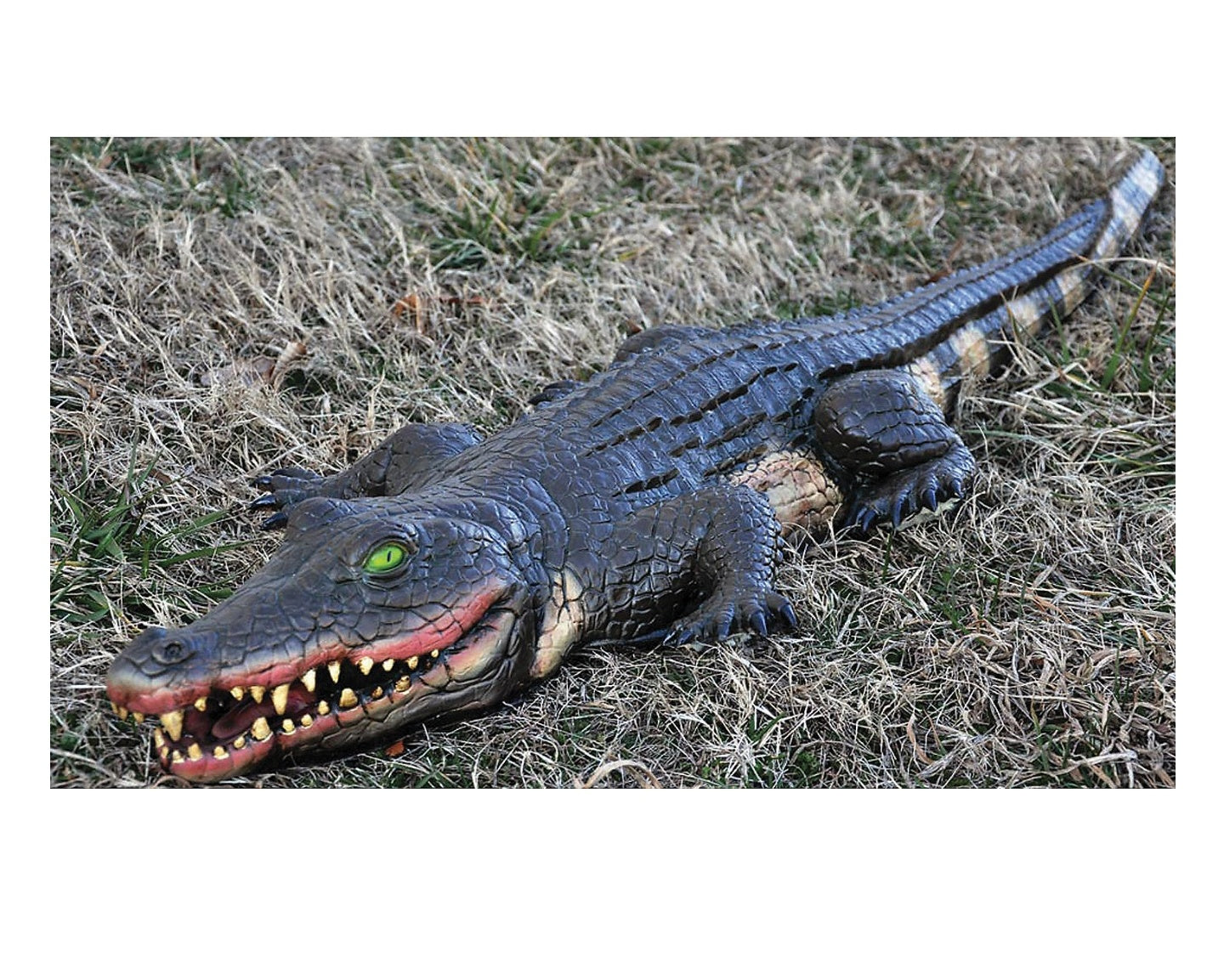 4' Swamp Alligator Halloween Decoration