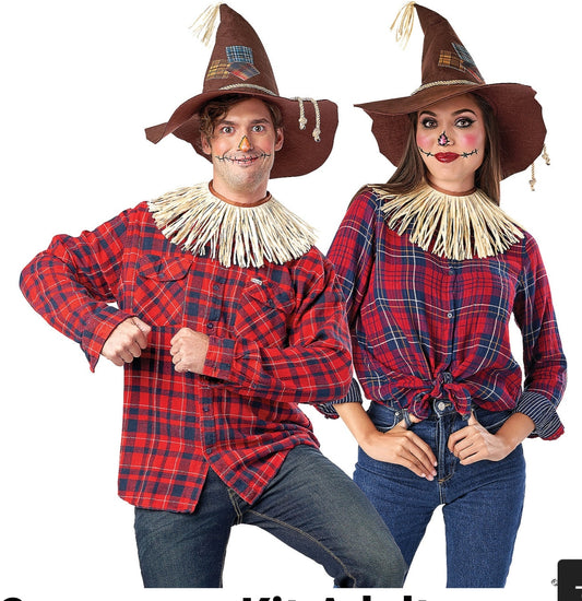 Scarecrow Costume Kit Adult