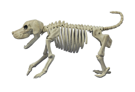 Beagle Bonez Dog Skeleton Halloween Decoration