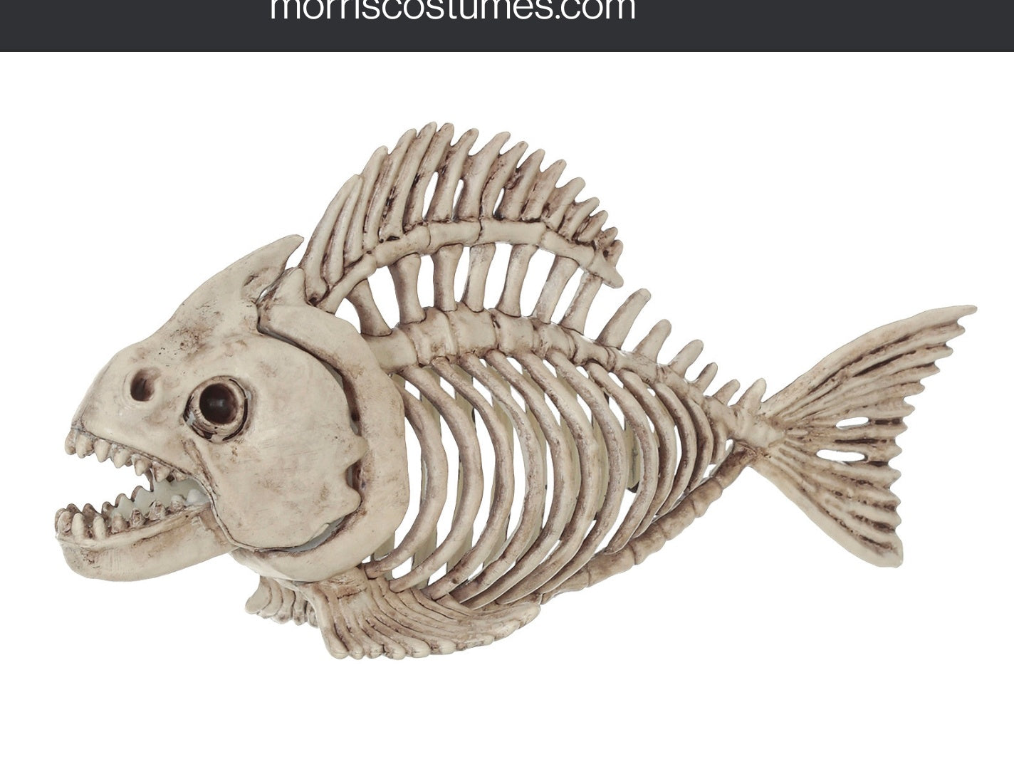 Skeleton Fish Prop